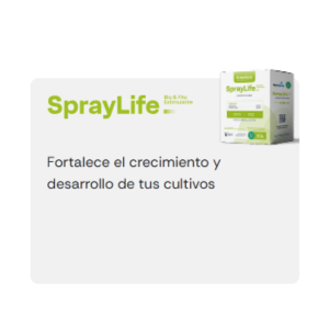 Potenciador SprayLife
