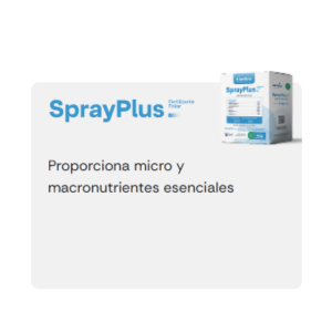 Potenciador SprayPlus